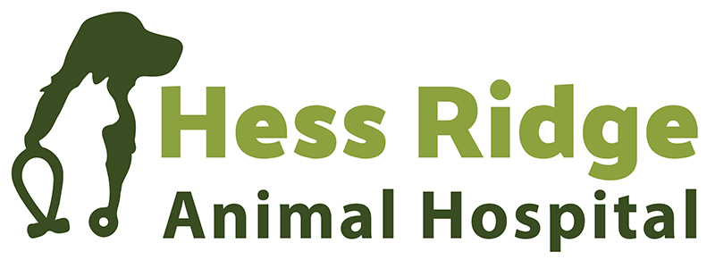 Hess Ridge Animal Hospital