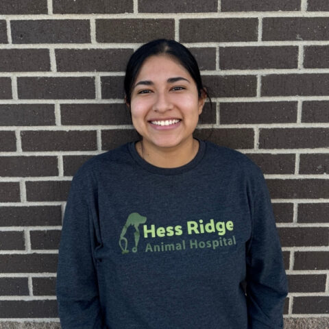 Angela Ridge Veterinarian In Parker, CO 80134 | Hess Ridge Animal Hospital