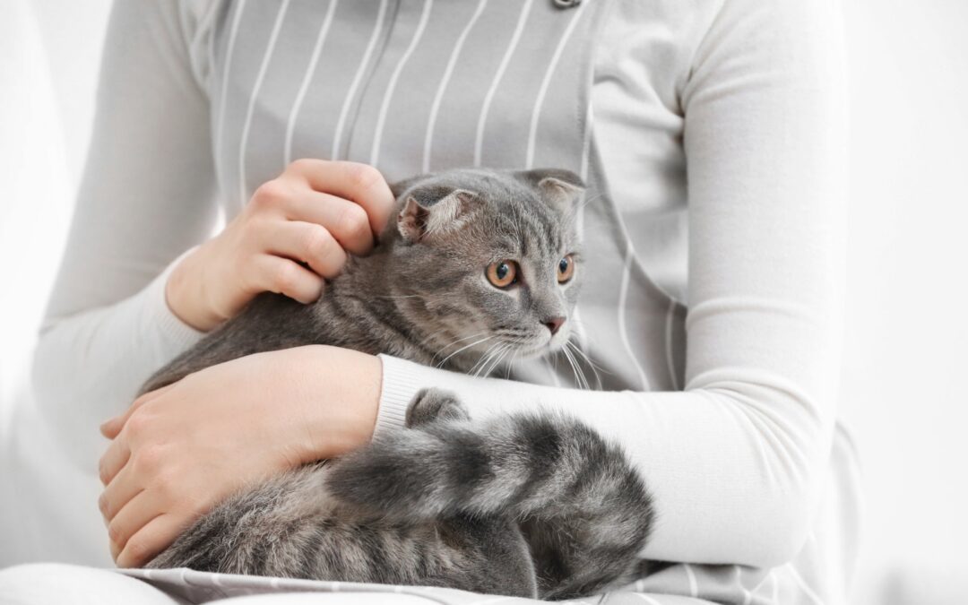 A woman gently cradles a cat in her lap